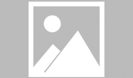 日本樱花动漫,绽放的青春记忆与梦幻世界