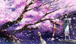 樱花动漫最新,绽放青春，演绎梦幻世界